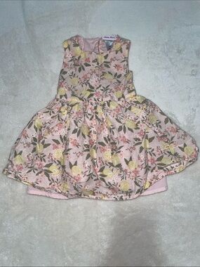 Little Lass Pink Lemon Floral Party Dress